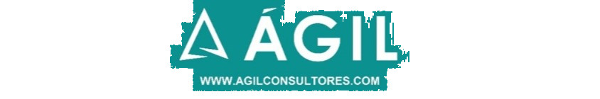 consultora seguridad e higiene